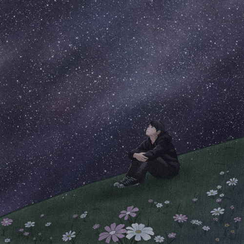 Midnight Album Art